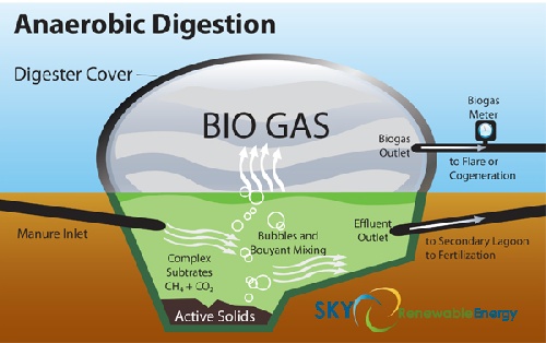 دانلود پاورپوینت تکنولوژی بیوگاز-Biogas